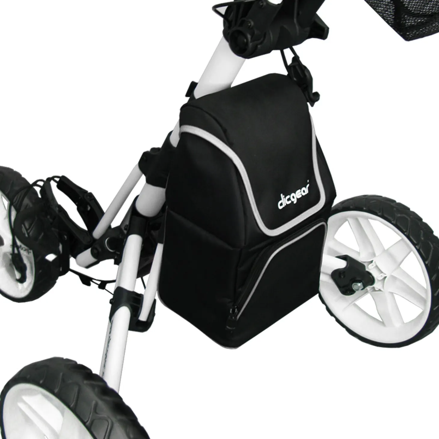 Cooler Bag