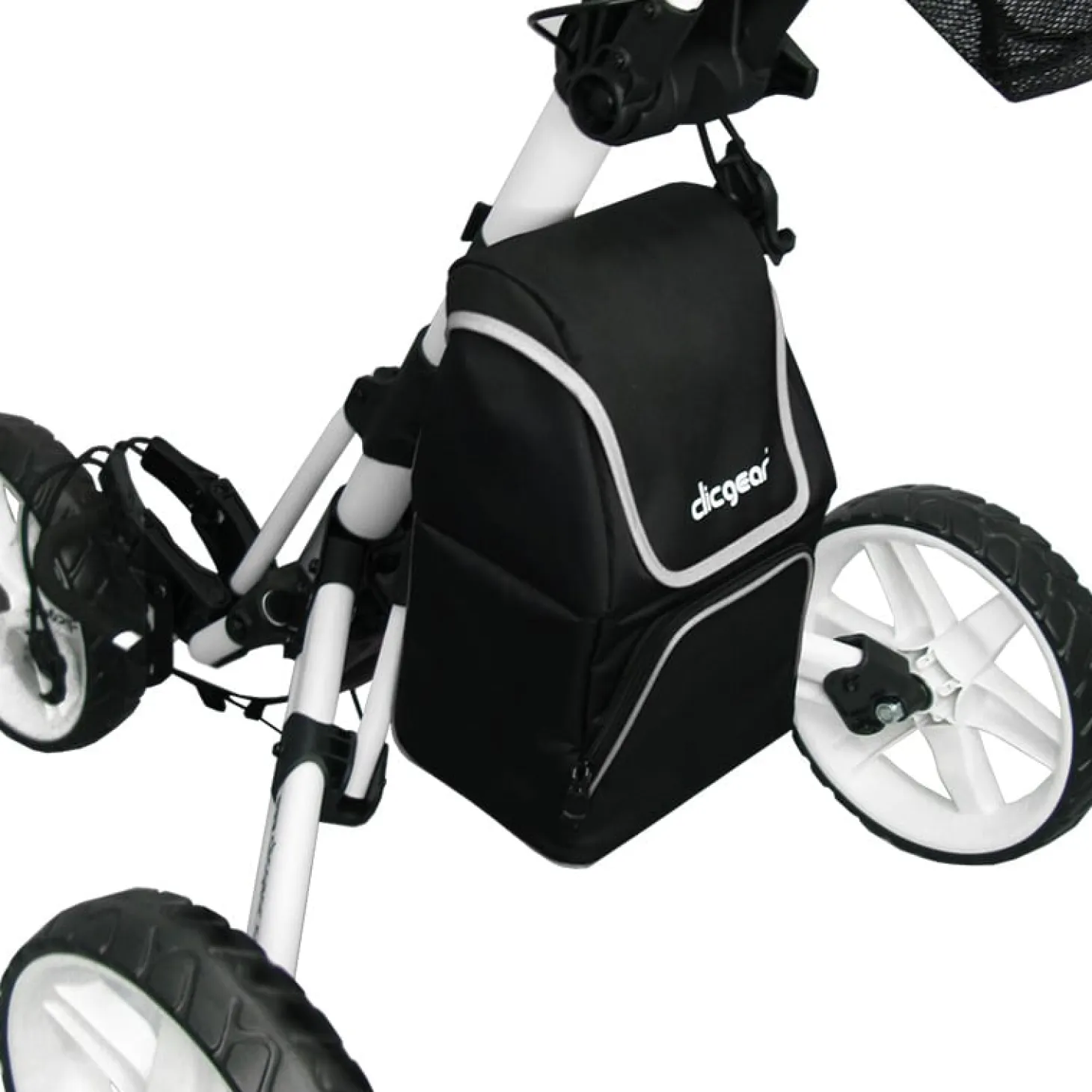 Cooler Bag