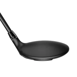Ds-Adapt Max Svart