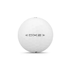 DX2 24-Ball