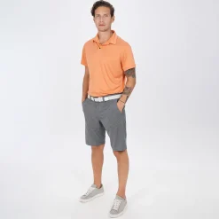 Frank Grå