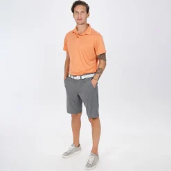 Frank Grå