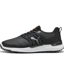 Ignite Elevate 2