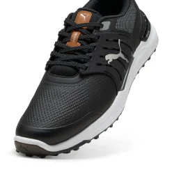 Ignite Elevate 2