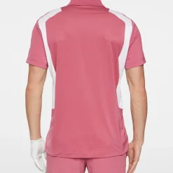 Legacy Polo