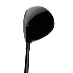 Qi10