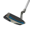 Scottsdale Anser 2D