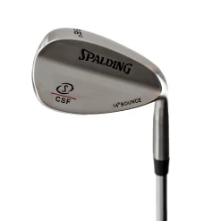 Wedge CSF