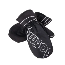 Winter Mitts