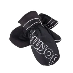 Winter Mitts