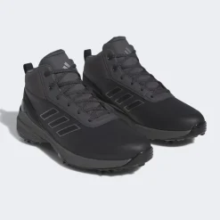 Zg23 Rain